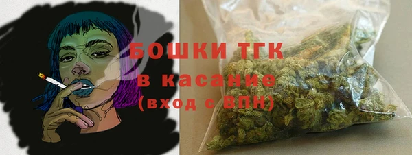 соль ск Алзамай